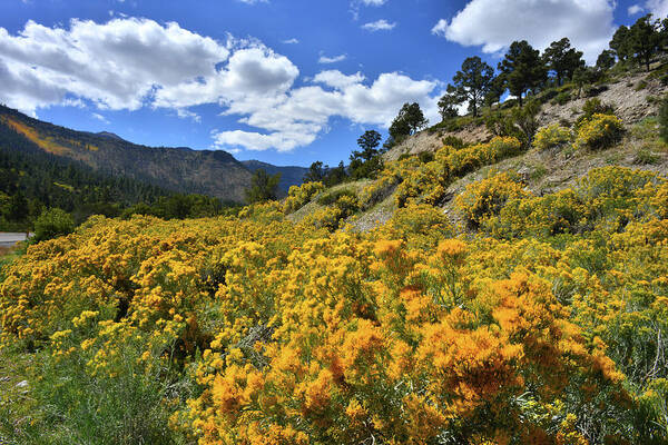 Humboldt-toiyabe National Forest Art Print featuring the photograph Fall Colors Come to Mt. Charleston by Ray Mathis