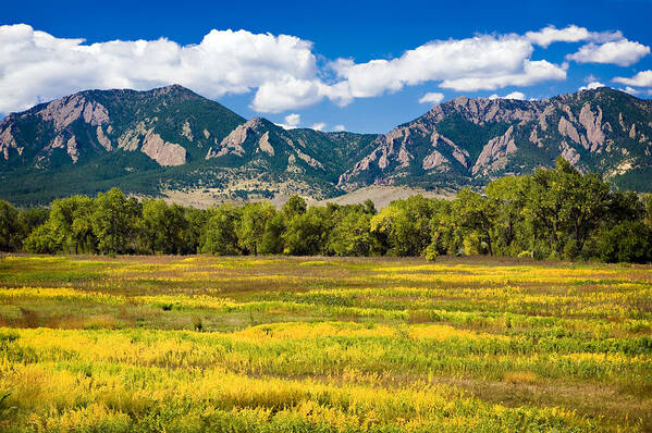 Americana Art Print featuring the photograph Fall Colors of Boulder Colorado by Marilyn Hunt