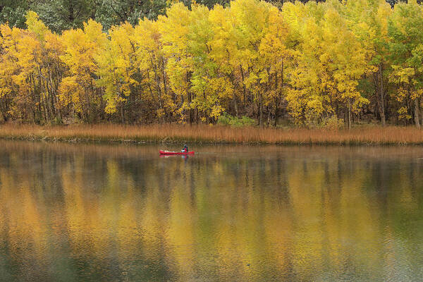 Fall Art Print featuring the photograph Fall Fishing by Duncan Selby