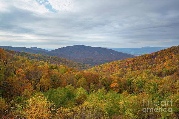 Shenandoah National Park Art Print featuring the photograph Fall Foliage In The Mountains by Michael Ver Sprill