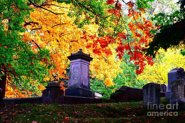 Rochester Art Print featuring the photograph Fall in MT. Hope by Jennifer Craft