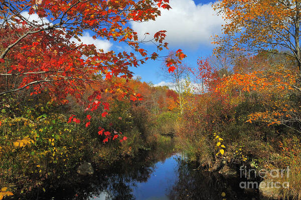 Fall Art Print featuring the photograph Fall in New England 2 by Edward Sobuta