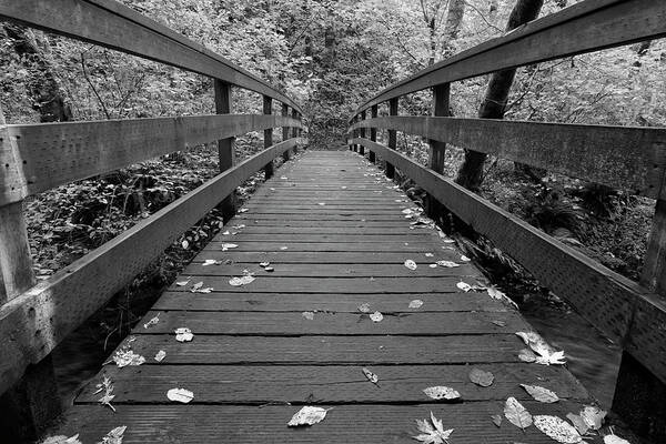 Bridge Art Print featuring the photograph Fall In Oregon BW by Jonathan Davison