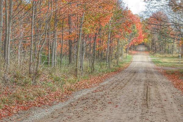  Art Print featuring the photograph 9018 - Fall on Murphy Lake IV by Sheryl L Sutter