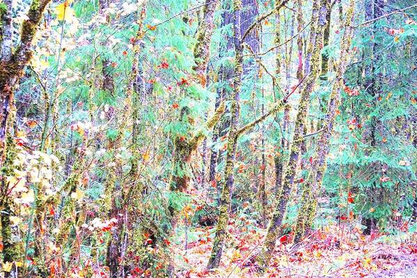 Oregon Art Print featuring the photograph Fall Oregon Forest by Merle Grenz