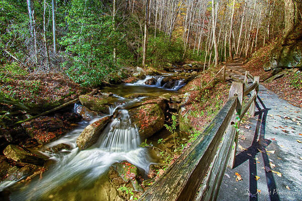 North Georgia Art Print featuring the photograph Fall Stream by Dillon Kalkhurst