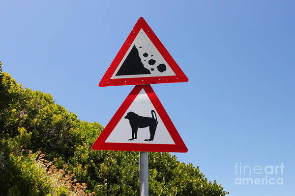 Sign Art Print featuring the photograph Falling Rocks and Baboons by Bev Conover