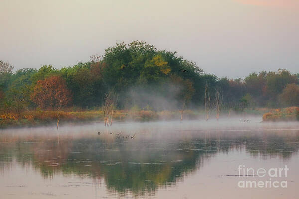 Morning Art Print featuring the photograph Fall's Arrival by Elizabeth Winter