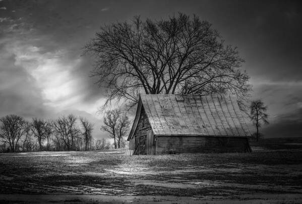 Farm Shed Art Print featuring the photograph Farm Shed 2016-2 by Thomas Young