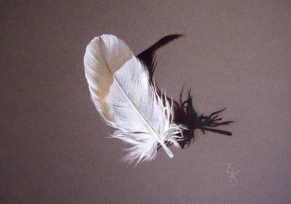 Still Life Art Print featuring the drawing Feather and shadow 1 by Elena Kolotusha