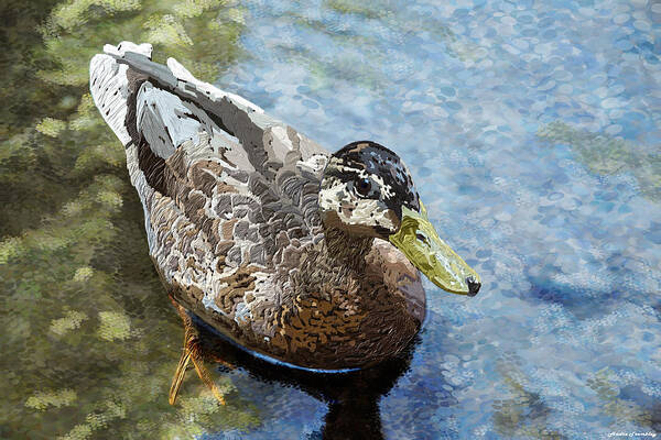 Animal Art Print featuring the digital art Female Duck by Andre Tremblay