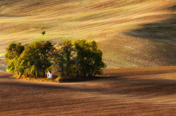 Landscape Art Print featuring the photograph Field Chapel by Piotr Krol (bax)