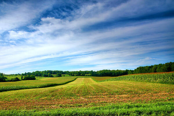 Field Art Print featuring the photograph Field of Dreams Two by Steven Ainsworth