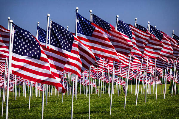 American Flags Art Print featuring the photograph Field of Flags For Heroes by Bill Swartwout