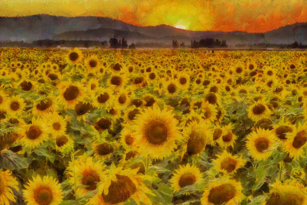 Sunflower Art Print featuring the photograph Field of Sunflowers by Mark Kiver