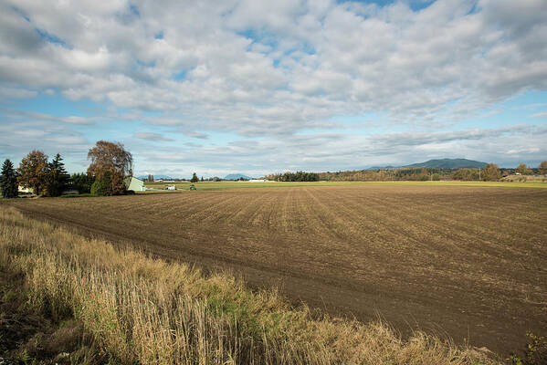 Fields In Waiting Art Print featuring the photograph Fields in Waiting by Tom Cochran