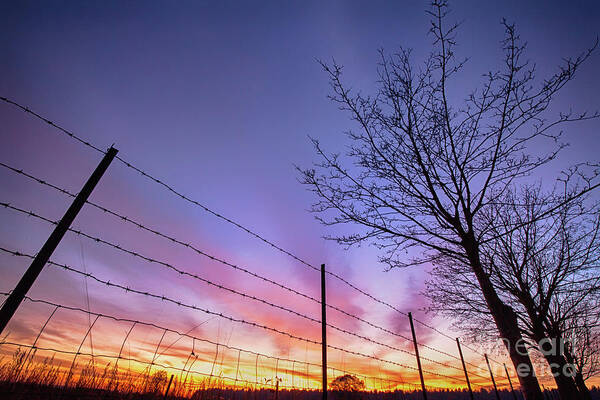 Sunset Art Print featuring the photograph Fiery Norfolk sunset viewed through barbed fence by Simon Bratt