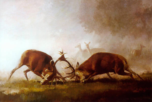 Fighting Stags Art Print featuring the painting Fighting Stags II. by Attila Meszlenyi