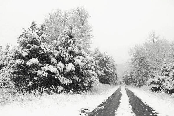 Snow Art Print featuring the photograph Find a Pretty Road by Lori Deiter