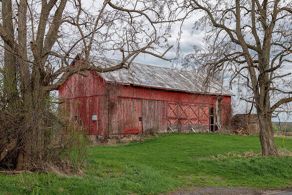 Barn Art Print featuring the photograph Fingerlakes Red by Rod Best