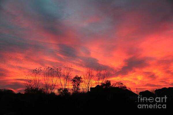 Sunset Art Print featuring the photograph Fire in sky by Yumi Johnson