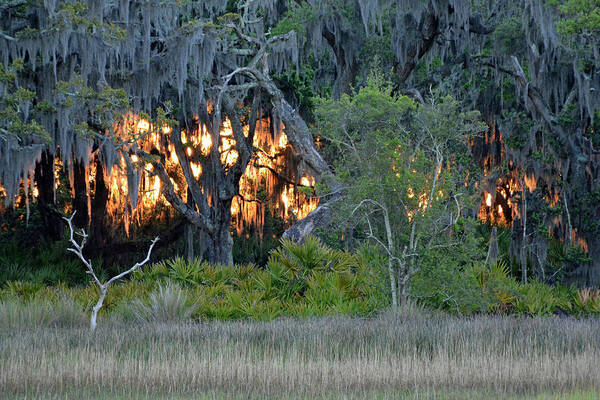 Beach Photographs Art Print featuring the photograph Fire Light Jekyll Island by Bruce Gourley