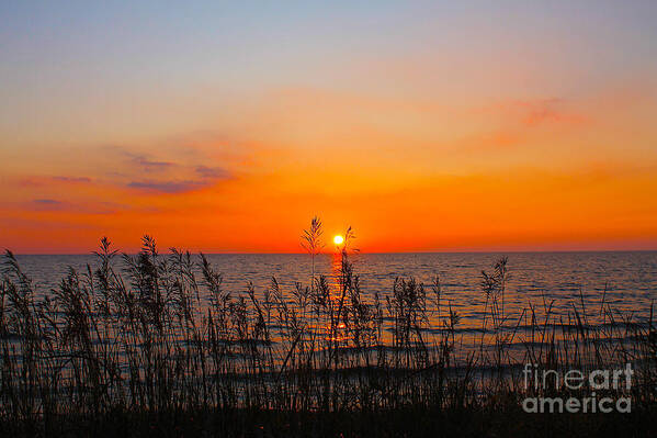 Sunset Art Print featuring the photograph Fireball Sunset on Bluewater Beach by Nina Silver