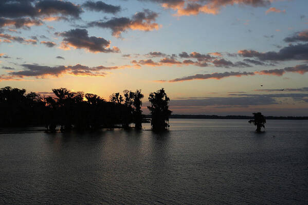 Landscape Art Print featuring the photograph First Light by Steve Parr