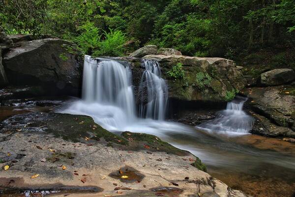 Waterfall Art Print featuring the photograph First sign of Carolina Fall by Chris Berrier