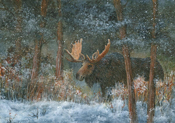 Moose Art Print featuring the painting First Snow - Alaska by June Hunt Moose Art Print featuring the painting First Snow - Alaska by June Hunt