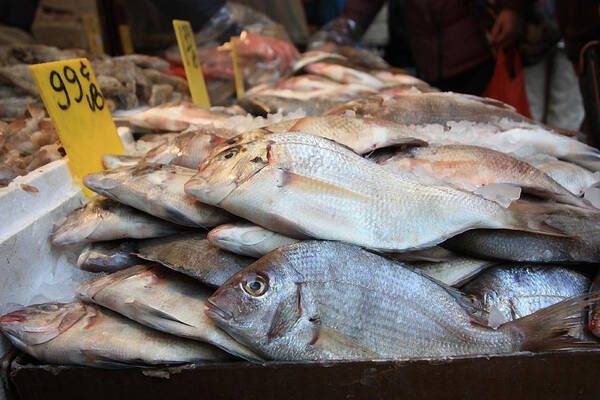 Fish Art Print featuring the photograph Fish for Sale by Mary Haber