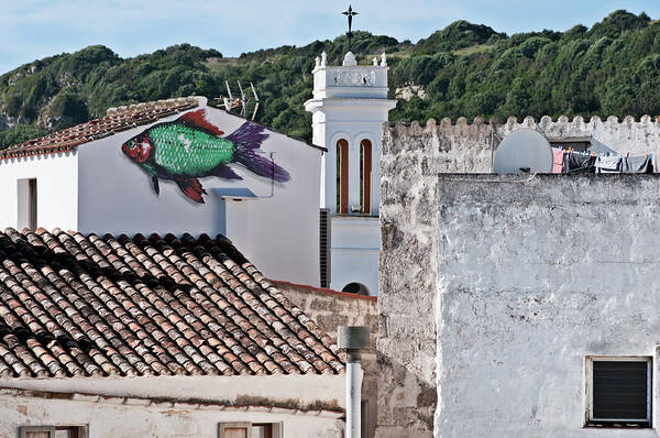 Nobody Art Print featuring the photograph Fish swimming in vintage town roofs by Pedro Cardona Llambias