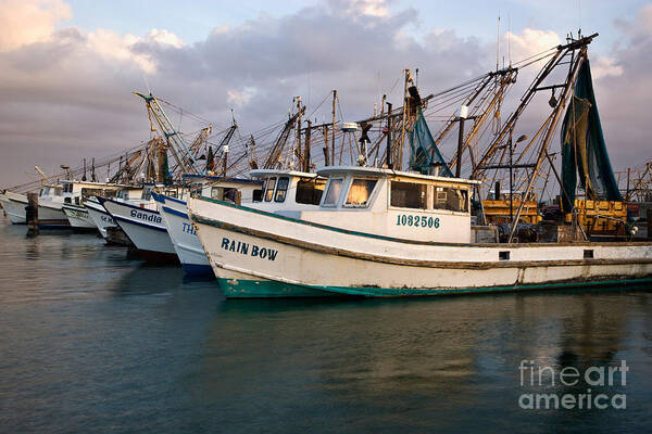 Boats Art Print featuring the photograph Fishing Boats by Inga Spence