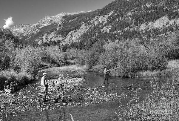 Fishing Art Print featuring the photograph Fishing by Pete Hellmann