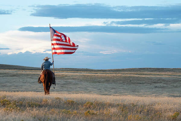 Horse And American Flag Art Print featuring the photograph Flag of Freedom by Pamela Steege