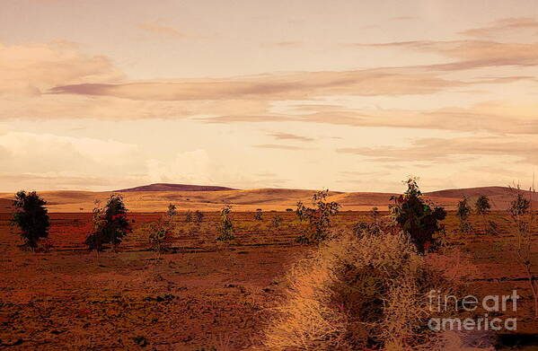 Morocco Art Print featuring the photograph Flat Land Scenic Morocco View from Train Window by Chuck Kuhn
