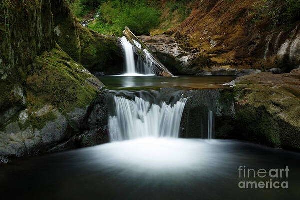 Waterfalls Art Print featuring the photograph Flow by Masako Metz
