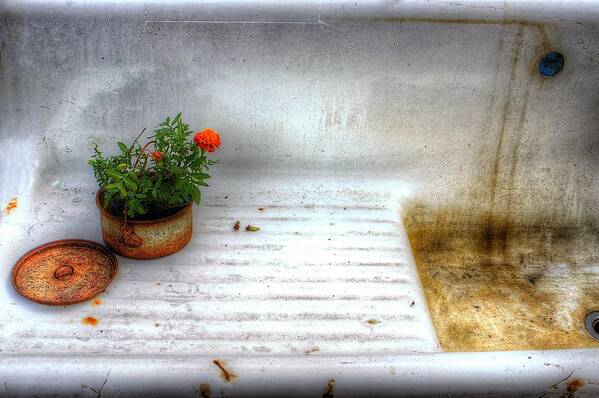 Sink Art Print featuring the photograph Flower Pot and Sink by Randy Pollard