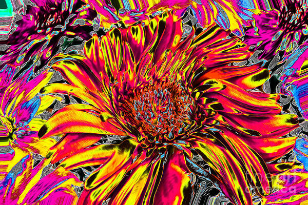 Flower Art Print featuring the photograph Flower Power II by Nina Silver