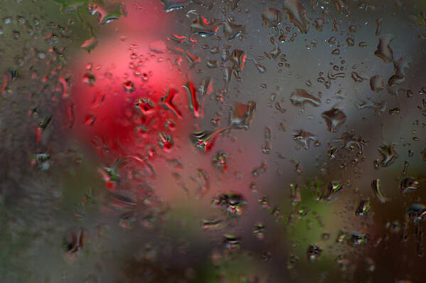Rainning Art Print featuring the photograph Flower Seen Through The Window by Catherine Lau