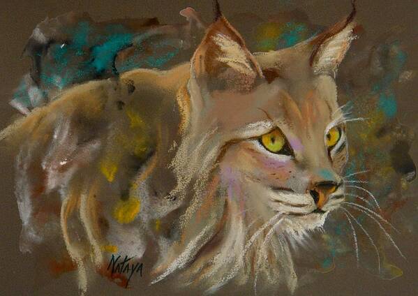 Bobcat Art Print featuring the pastel Focused Intent by Nataya Crow