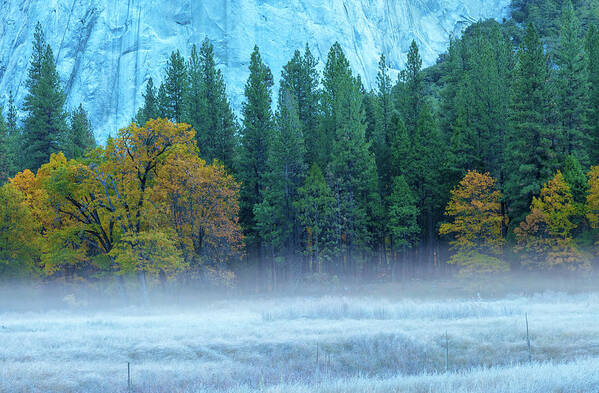 Nature Art Print featuring the photograph Fog-Frost-Fall by Jonathan Nguyen