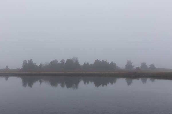 Andrew Pacheco Art Print featuring the photograph Fog on the Marsh by Andrew Pacheco