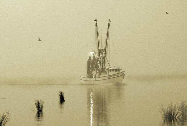 Photography Art Print featuring the photograph Foggy Evening Catch by Deborah Smith