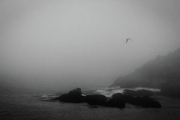 Maine Art Print featuring the photograph Foggy Maine Coast by Barry Wills