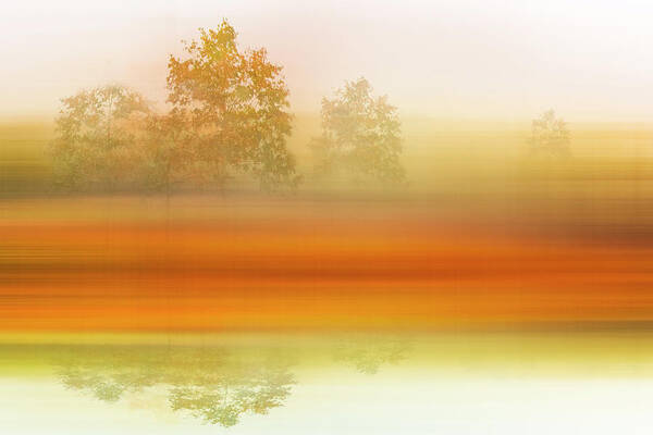 Andrews Art Print featuring the photograph Foggy Meadow Dreamscape by Debra and Dave Vanderlaan