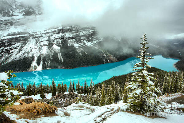 Peyto Lake Fog Art Print featuring the photograph Fogy Blue Spring Reflections by Adam Jewell