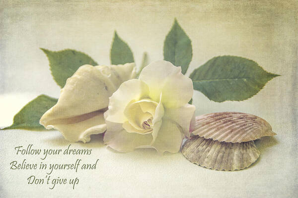 Rose Art Print featuring the photograph Follow Your Dreams by Cathy Kovarik