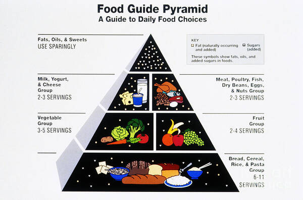 Food Pyramid Art Print featuring the photograph Food Pyramid by Photo Researchers
