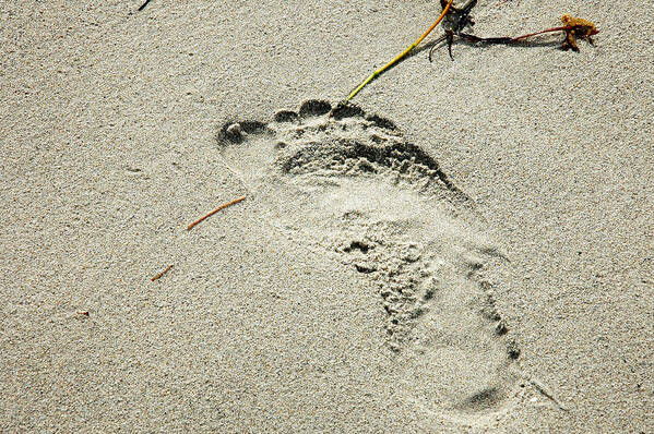 Footprint Art Print featuring the photograph Footprint in the Sand - South Beach Miami by Frank Mari